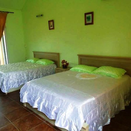 Coralie La Diffe'Rence Guest House Port Mathurin Kültér fotó